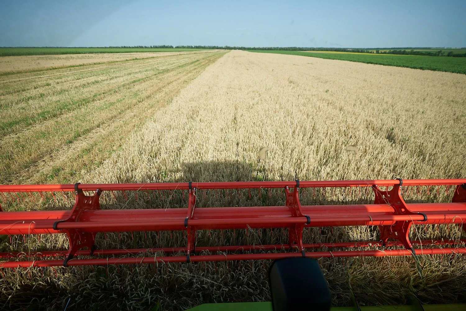 Жнива-2025: Україна зібрала близько 48 млн тонн зерна з 84% засіяних полів