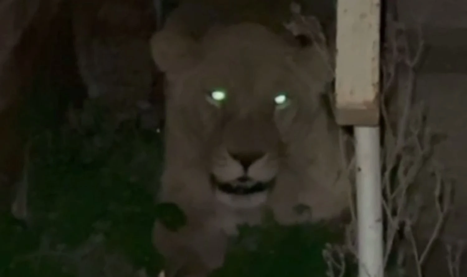 Українські Національні Новини (УНН)