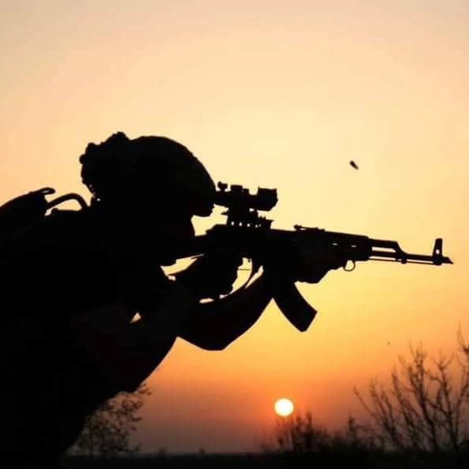 Українські Національні Новини (УНН)