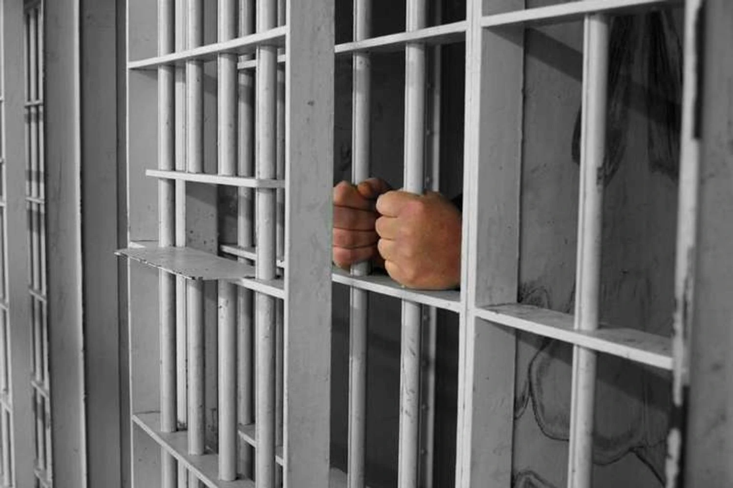 Українські Національні Новини (УНН)