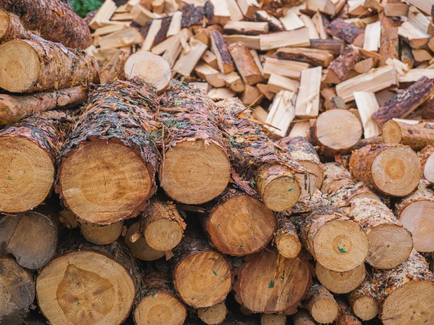 Безпідставна закупівля деревини на 1,6 млн грн: ексдиректору