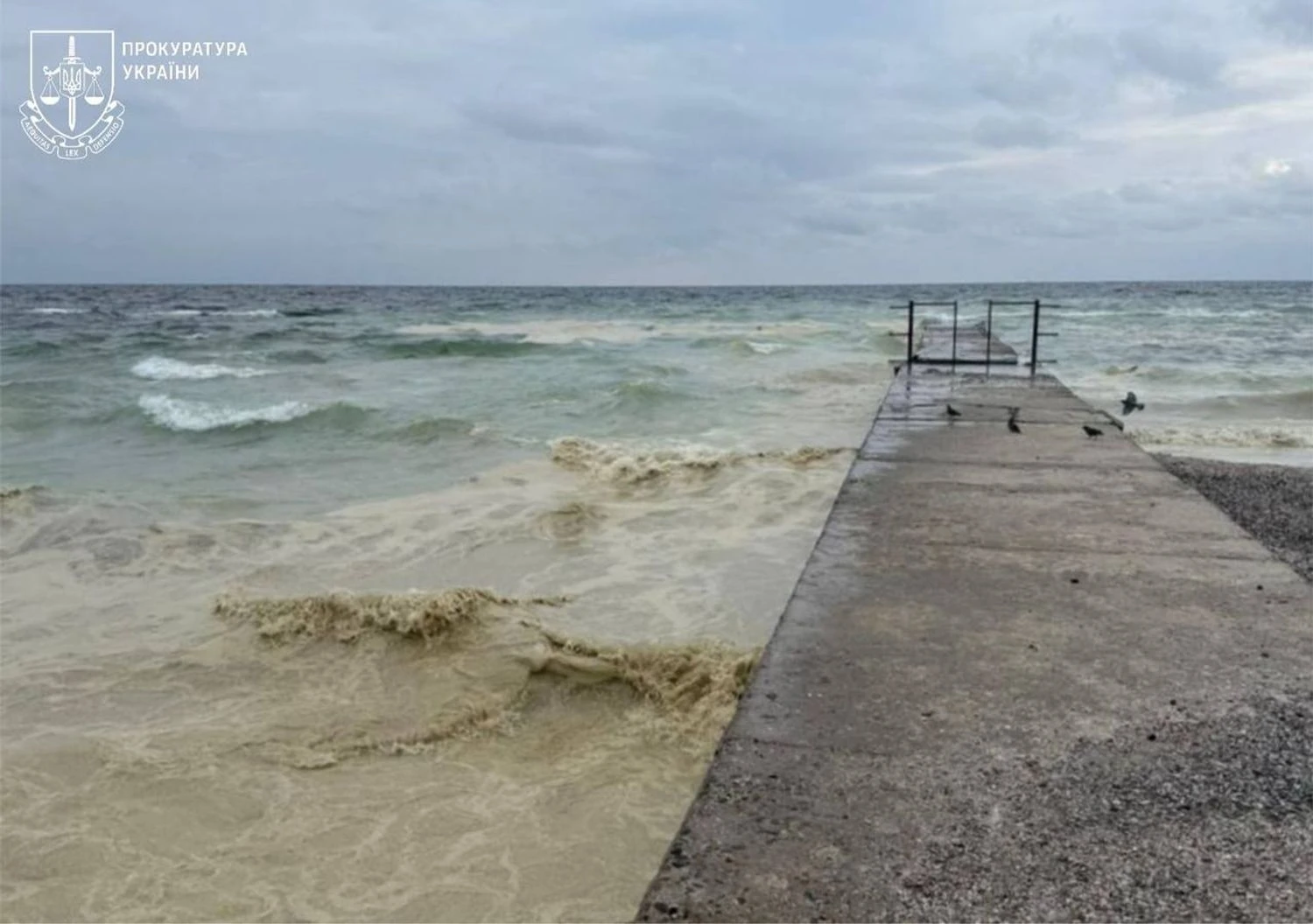 Маслянисті плями в морі в Одесі з'явилися після витоку олії через атаку рф: показали наслідки