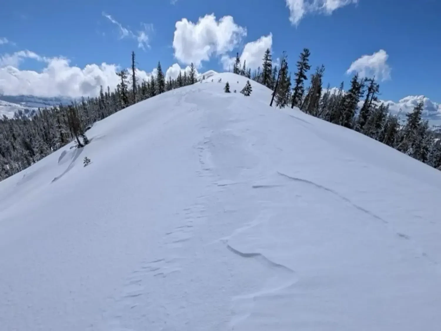 У США врятували шістьох лижників з пастки після лавини, дев