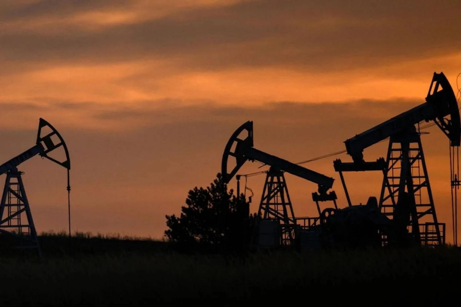 російський банк ВТБ ініціював банкрутство нафтової групи