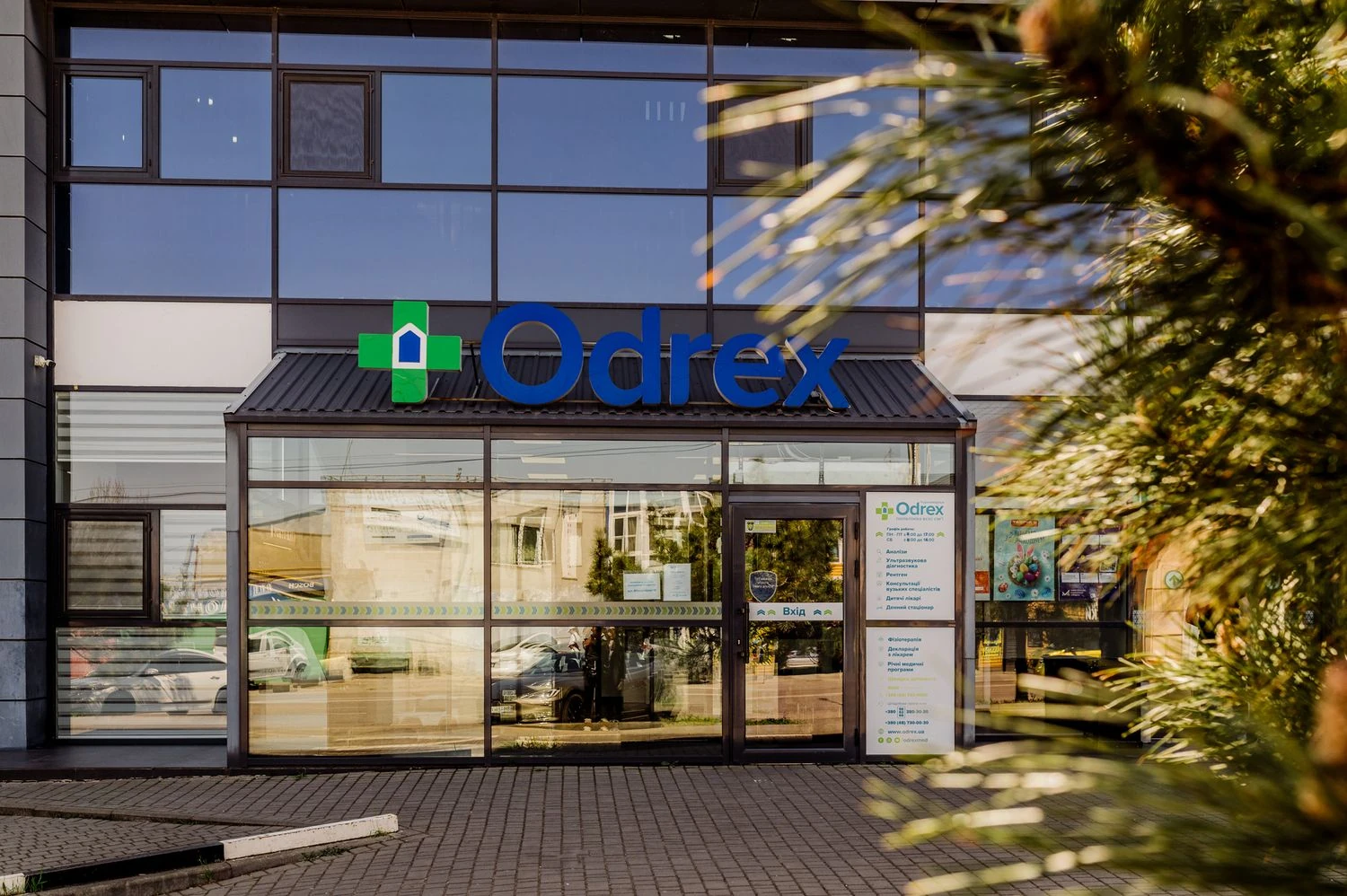 Як клініка Odrex втрачає пацієнтів і гроші через публічні скандали