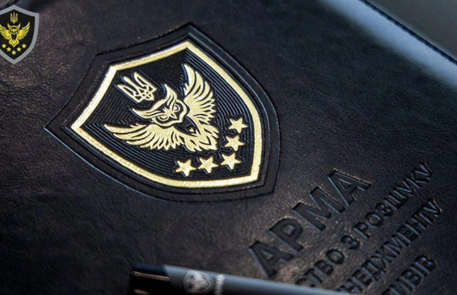 Суд зобов’язав ДБР відкрити провадження щодо АРМА під керівництвом Ярослави Максименко