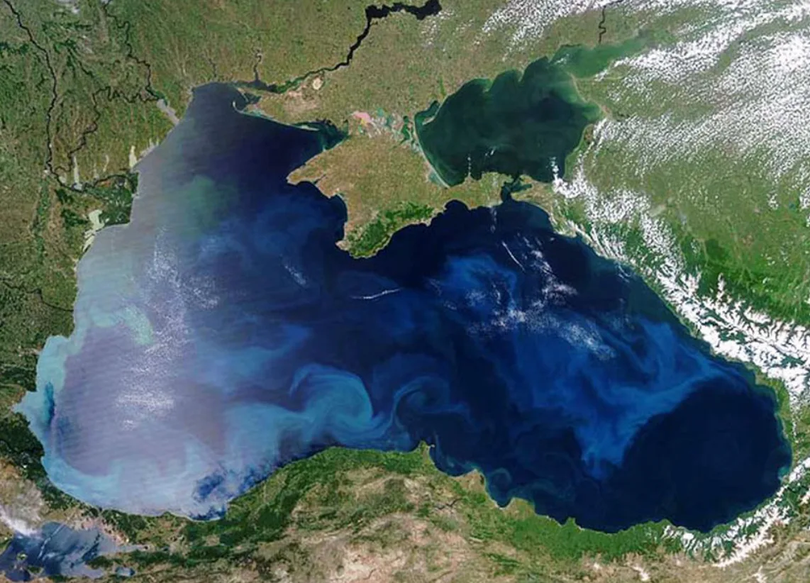 Індія шукає заміну соняшниковій олії через перебої з поставками з Чорного моря